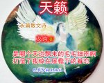 艾鸽散文诗集《天籁》封面和节选