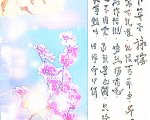 钱币收藏从评级币入手